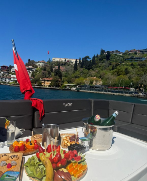 Istanbul: Bosphorus Private Yacht Cruise with Snacks | ®ExcursionMania