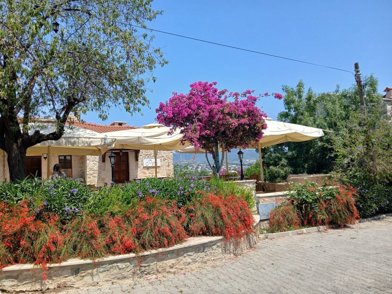 Marmaris: Marmaris Datca Private Tour: A Personalized Day of Exploration | ®ExcursionMania