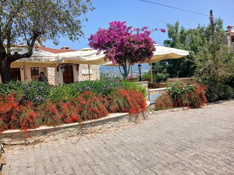 Marmaris: Marmaris Datca Private Tour: A Personalized Day of Exploration | ®ExcursionMania
