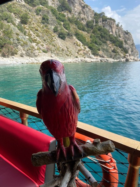 Marmaris: Marmaris Big Boss Yagna Boat Trip W/ Hotel Transfer Service | ®ExcursionMania