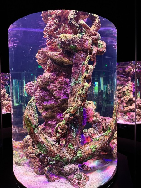 From Kemer: Antalya Aquarium Tour with Hotel Transfer | ®ExcursionMania