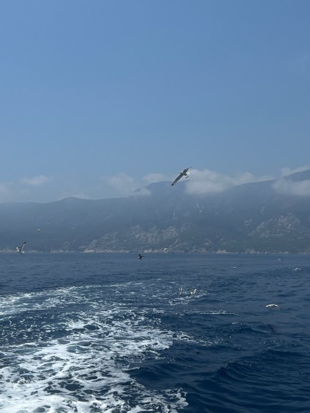 Suluada Tour from Antalya: Swimming and Lunch Included | ®ExcursionMania