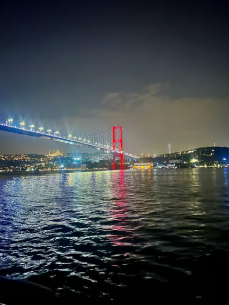 Istanbul: Bosphorus Dinner Cruise with Hotel Transfers | ®ExcursionMania