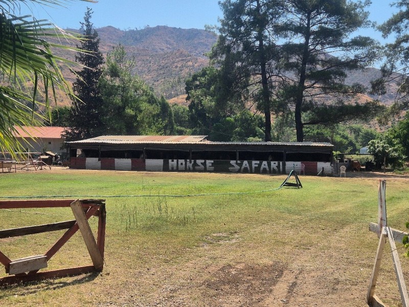 Marmaris Horse Riding Experience in the Forest w/Hotel Pickup | ®ExcursionMania