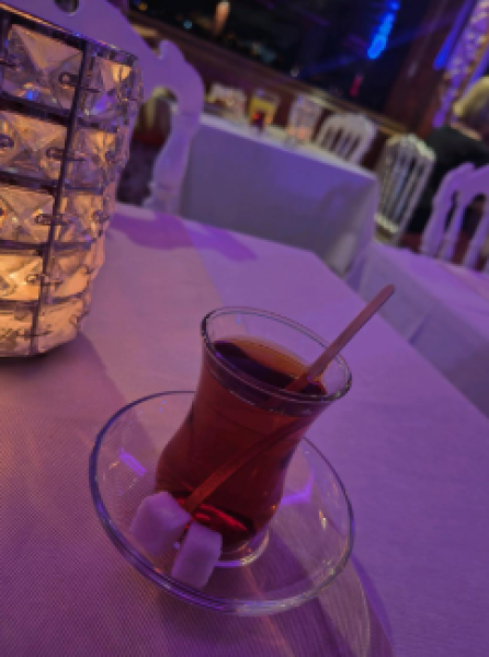 Istanbul Enchanting Bosphorus Cruise with Optional Meal | ®ExcursionMania