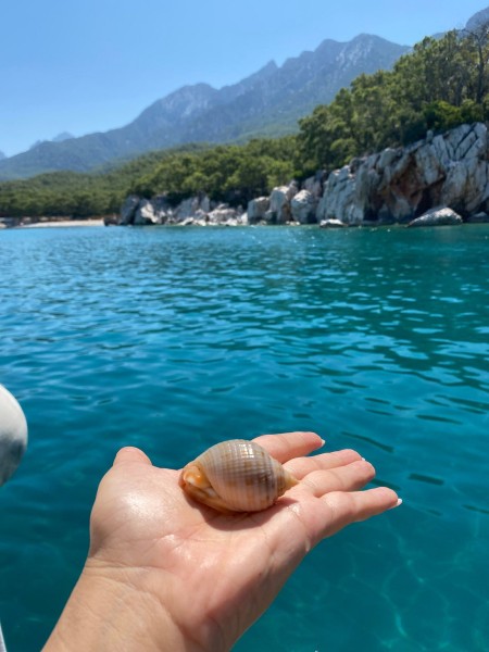 Antalya Scuba Diving Experience Lunch, 2 Dives & Pickup | ®ExcursionMania