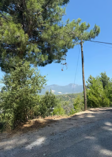 From Alanya: Sapadere Canyon Tour with Lunch | ®ExcursionMania