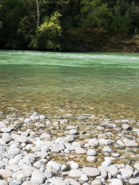 Side Combo Rafting, Zipline, ATV or Buggy Safari Experience | ®ExcursionMania
