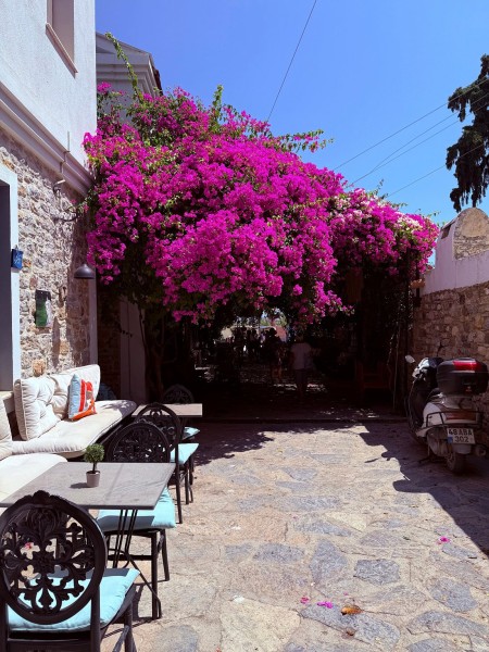 Marmaris: Marmaris: Datca Tour  W/ Lunch & Hotel Pickup Service | ®ExcursionMania
