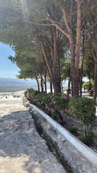 From City of Side: Full Day Salda Lake and Pamukkale Tour | ®ExcursionMania
