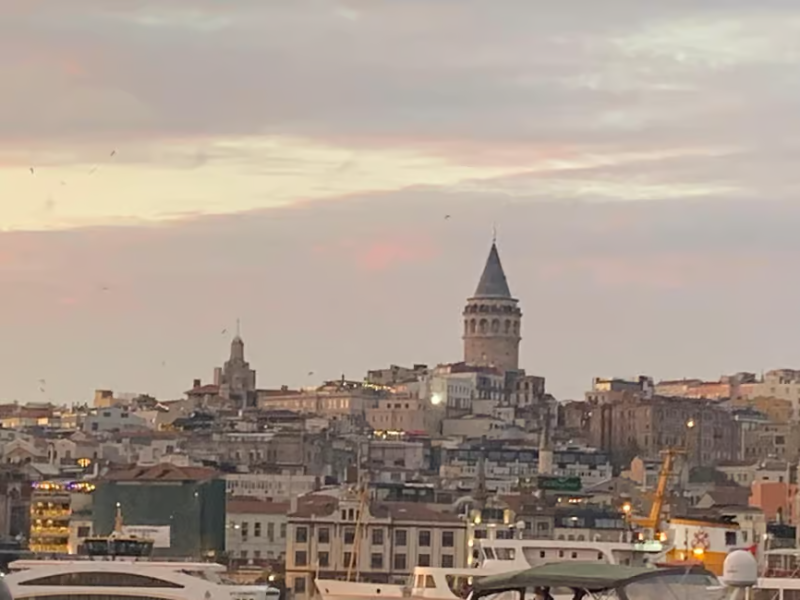Istanbul: Scenic Bosphorus and Golden Horn Cruise  Day or Sunset | ®ExcursionMania