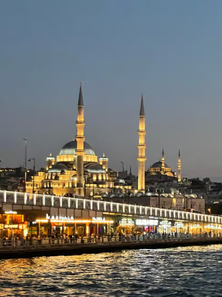 Istanbul: Scenic Bosphorus and Golden Horn Cruise  Day or Sunset | ®ExcursionMania