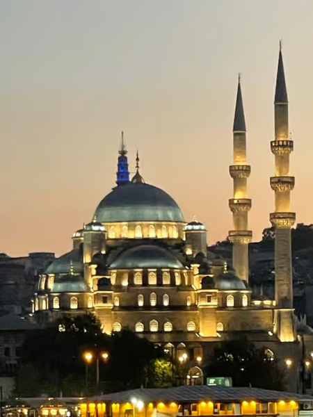 Istanbul: Scenic Bosphorus and Golden Horn Cruise  Day or Sunset | ®ExcursionMania