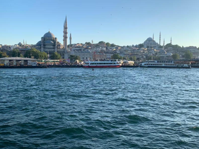 Istanbul: Discover Istanbul: Bosphorus Cruise with Daytime or Sunset Options | ®ExcursionMania