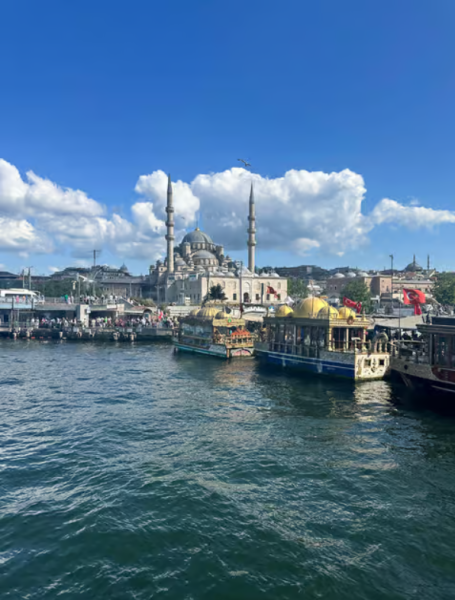 Discover Istanbul: Bosphorus Cruise with Daytime or Sunset Options | ®ExcursionMania
