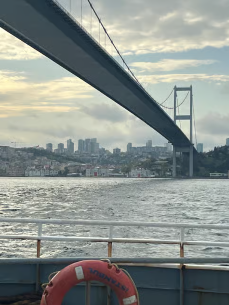 Discover Istanbul: Bosphorus Cruise with Daytime or Sunset Options | ®ExcursionMania