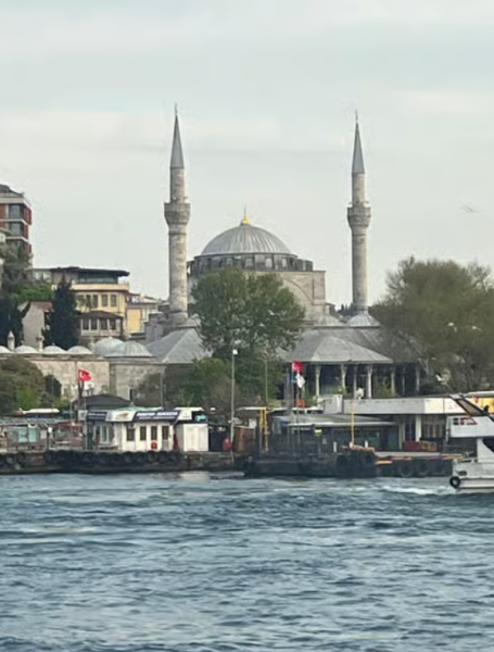 Discover Istanbul: Bosphorus Cruise with Daytime or Sunset Options | ®ExcursionMania