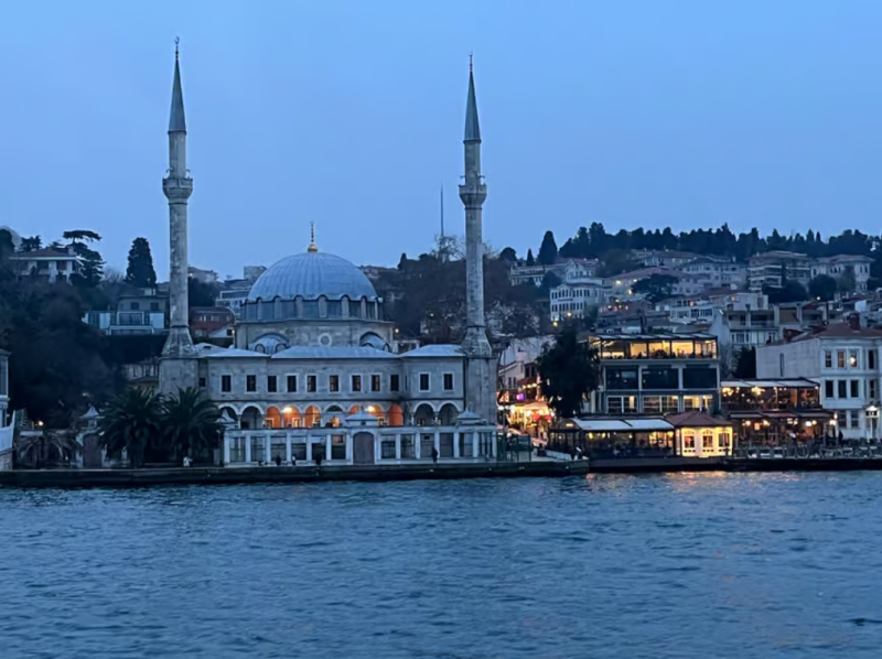 Discover Istanbul: Bosphorus Cruise with Daytime or Sunset Options | ®ExcursionMania