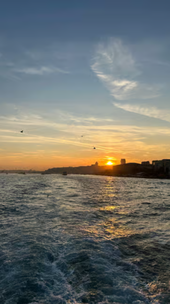 Discover Istanbul: Bosphorus Cruise with Daytime or Sunset Options | ®ExcursionMania