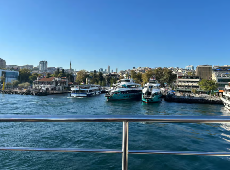 Discover Istanbul: Bosphorus Cruise with Daytime or Sunset Options | ®ExcursionMania