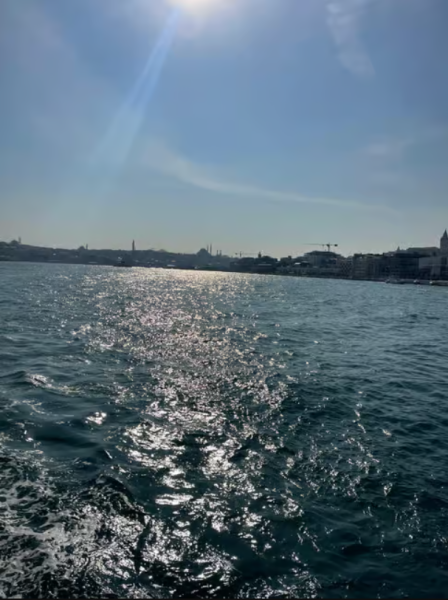 Discover Istanbul: Bosphorus Cruise with Daytime or Sunset Options | ®ExcursionMania