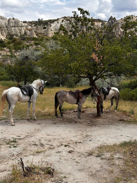 Horseback Adventure Through Cappadocias Timeless Landscapes | ®ExcursionMania