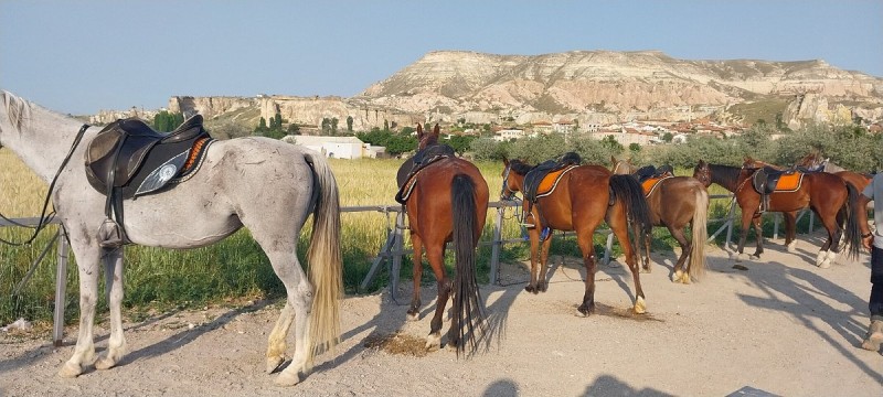 Horseback Adventure Through Cappadocias Timeless Landscapes | ®ExcursionMania