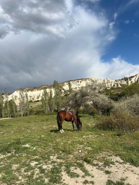 Horseback Adventure Through Cappadocias Timeless Landscapes | ®ExcursionMania