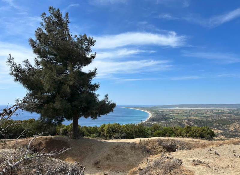Istanbul to Gallipoli Tour with Lunch: Journey Through Time | ®ExcursionMania