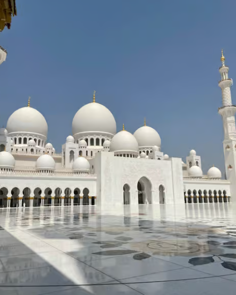 From Dubai: Abu Dhabi Premium Full-Day Sightseeing Tour | ®ExcursionMania