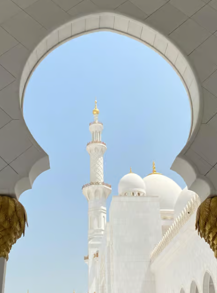 From Dubai: Abu Dhabi Premium Full-Day Sightseeing Tour | ®ExcursionMania