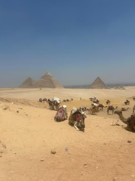 From Cairo: Half-Day Tour to Pyramids of Giza and the Sphinx | ®ExcursionMania