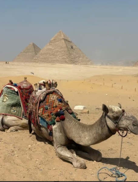 From Cairo: Half-Day Tour to Pyramids of Giza and the Sphinx | ®ExcursionMania