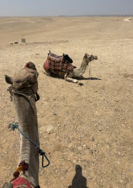 From Cairo: Half-Day Tour to Pyramids of Giza and the Sphinx | ®ExcursionMania