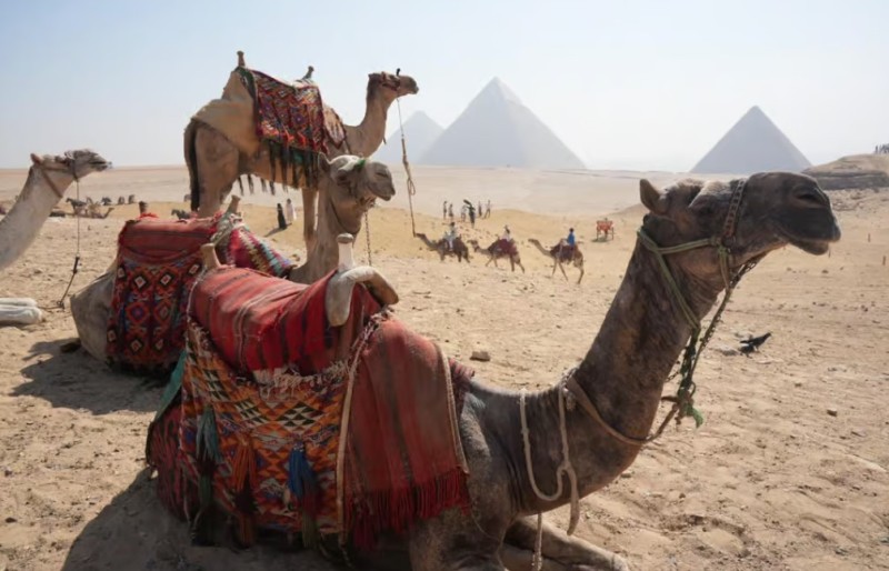 From Cairo: Half-Day Tour to Pyramids of Giza and the Sphinx | ®ExcursionMania