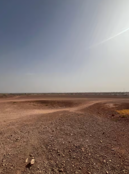 Marrakech Quad Bike Experience: Desert and Palmeraie | ®ExcursionMania