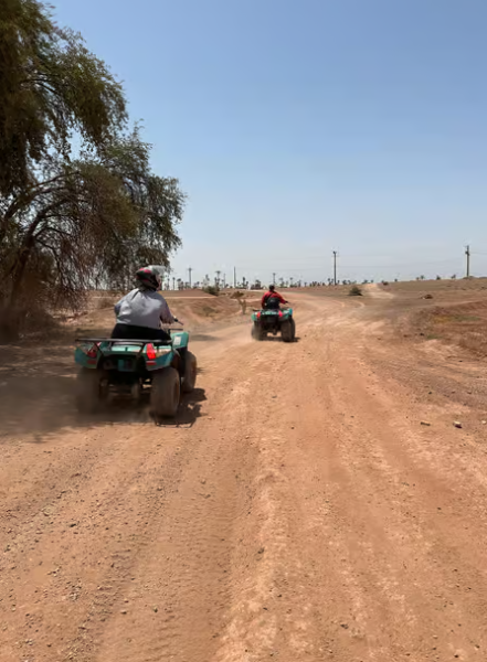 Marrakech Quad Bike Experience: Desert and Palmeraie | ®ExcursionMania