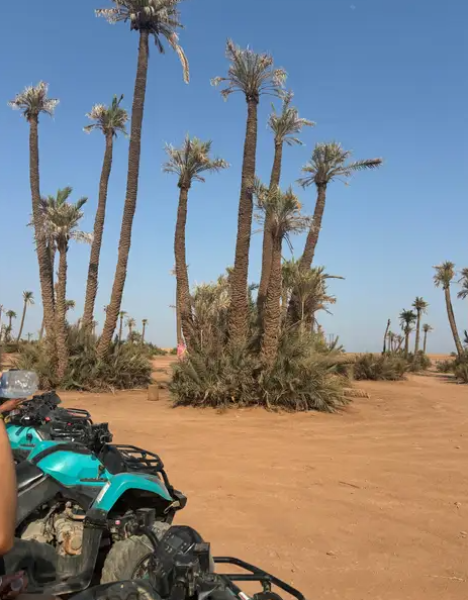 Marrakech Quad Bike Experience: Desert and Palmeraie | ®ExcursionMania