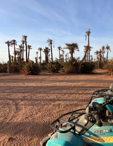 Marrakech Quad Bike Experience: Desert and Palmeraie | ®ExcursionMania
