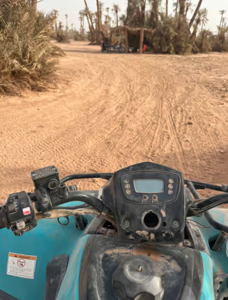 Marrakech Quad Bike Experience: Desert and Palmeraie | ®ExcursionMania