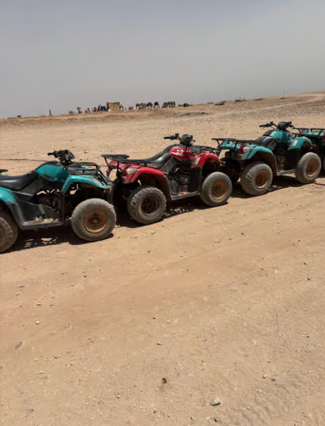 Marrakech Quad Bike Experience: Desert and Palmeraie | ®ExcursionMania