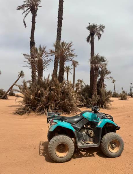 Marrakech Quad Bike Experience: Desert and Palmeraie | ®ExcursionMania