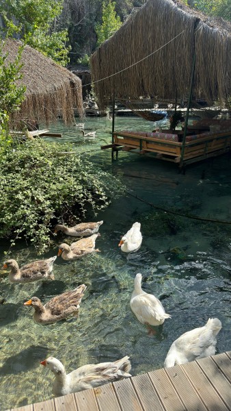 Marmaris: Fethiye Tour With Saklikent Gorge & Blue Lagoon | ®ExcursionMania