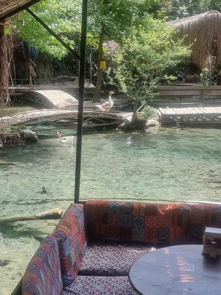 Marmaris: Fethiye Tour With Saklikent Gorge & Blue Lagoon | ®ExcursionMania