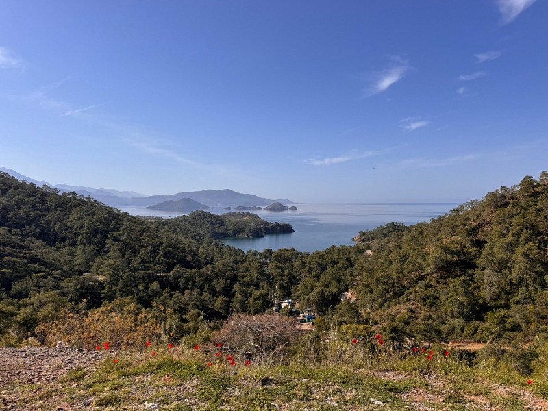 Marmaris: Fethiye Tour With Saklikent Gorge & Blue Lagoon | ®ExcursionMania