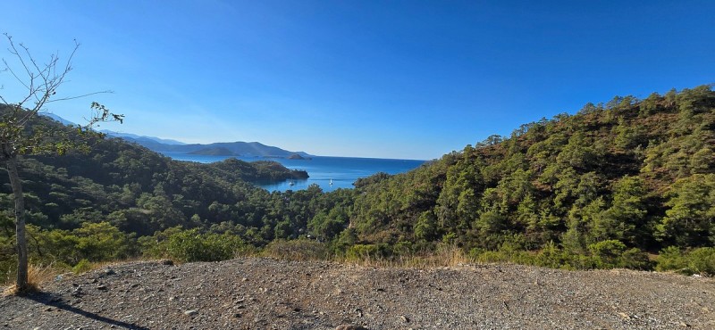Marmaris: Fethiye Tour With Saklikent Gorge & Blue Lagoon | ®ExcursionMania