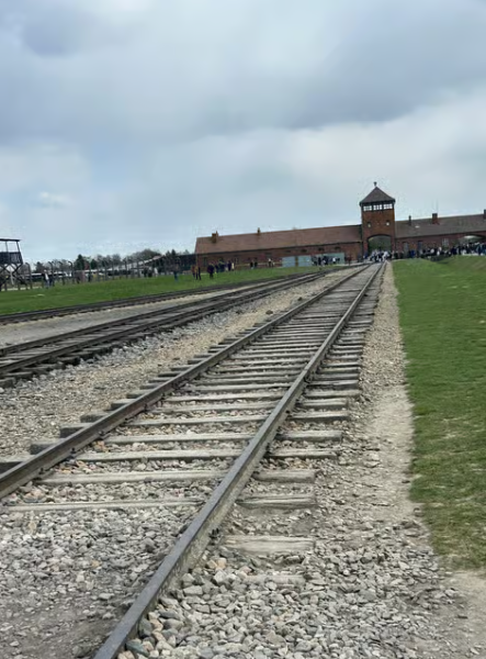 Krakow: From Krakow: Auschwitz and Wieliczka Salt Mine Full-Day Trip | ®ExcursionMania