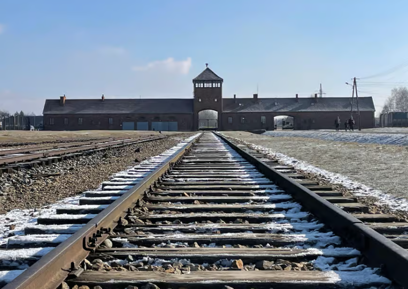 From Krakow: Auschwitz and Wieliczka Salt Mine Full-Day Trip | ®ExcursionMania
