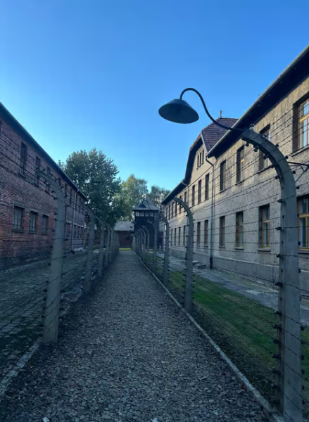 From Krakow: Auschwitz and Wieliczka Salt Mine Full-Day Trip | ®ExcursionMania