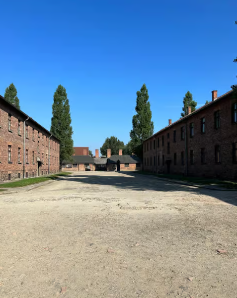 From Krakow: Auschwitz and Wieliczka Salt Mine Full-Day Trip | ®ExcursionMania